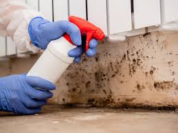 Best Mold Prevention Services  in Marshville, NC